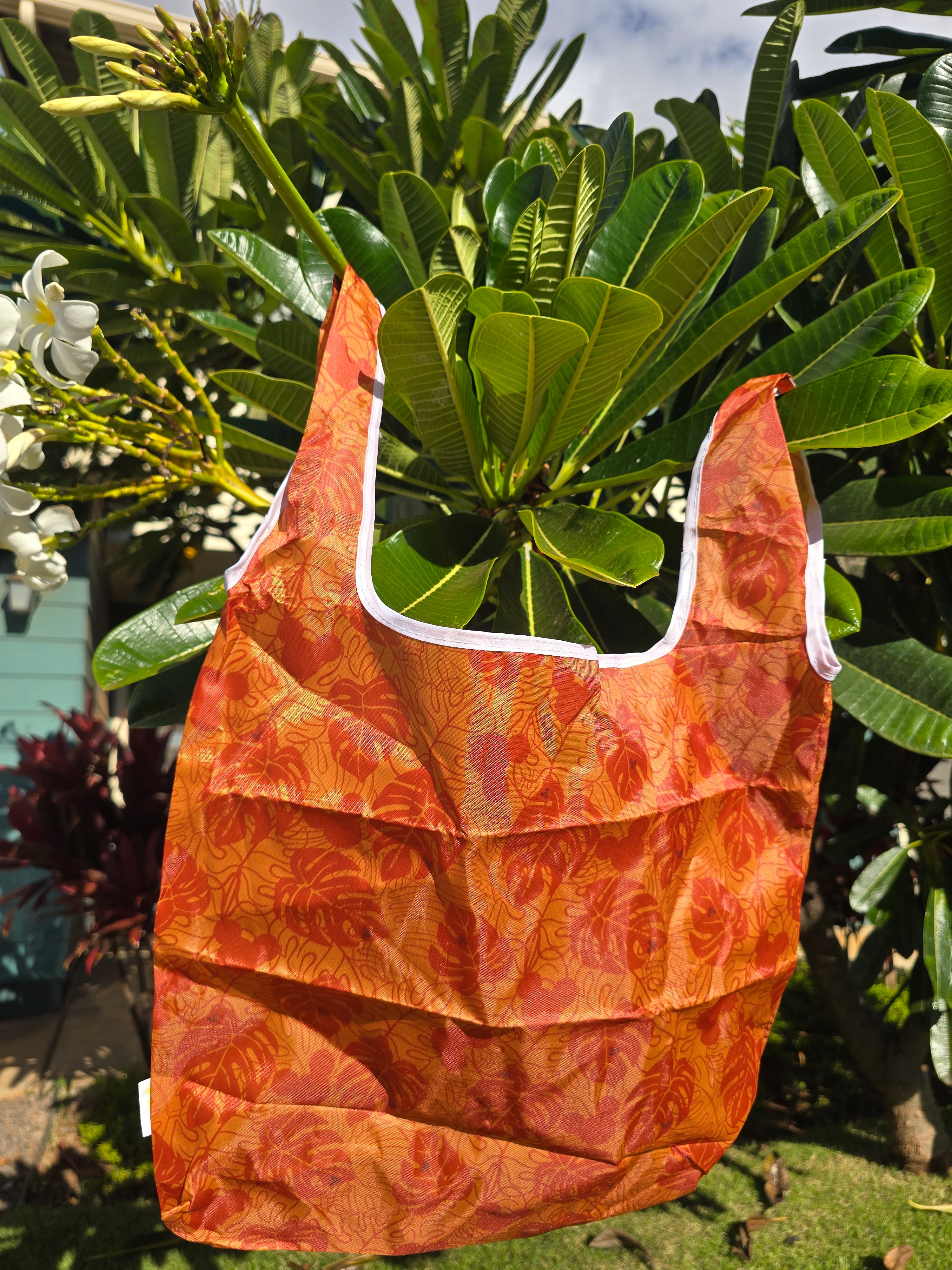Reusable bag