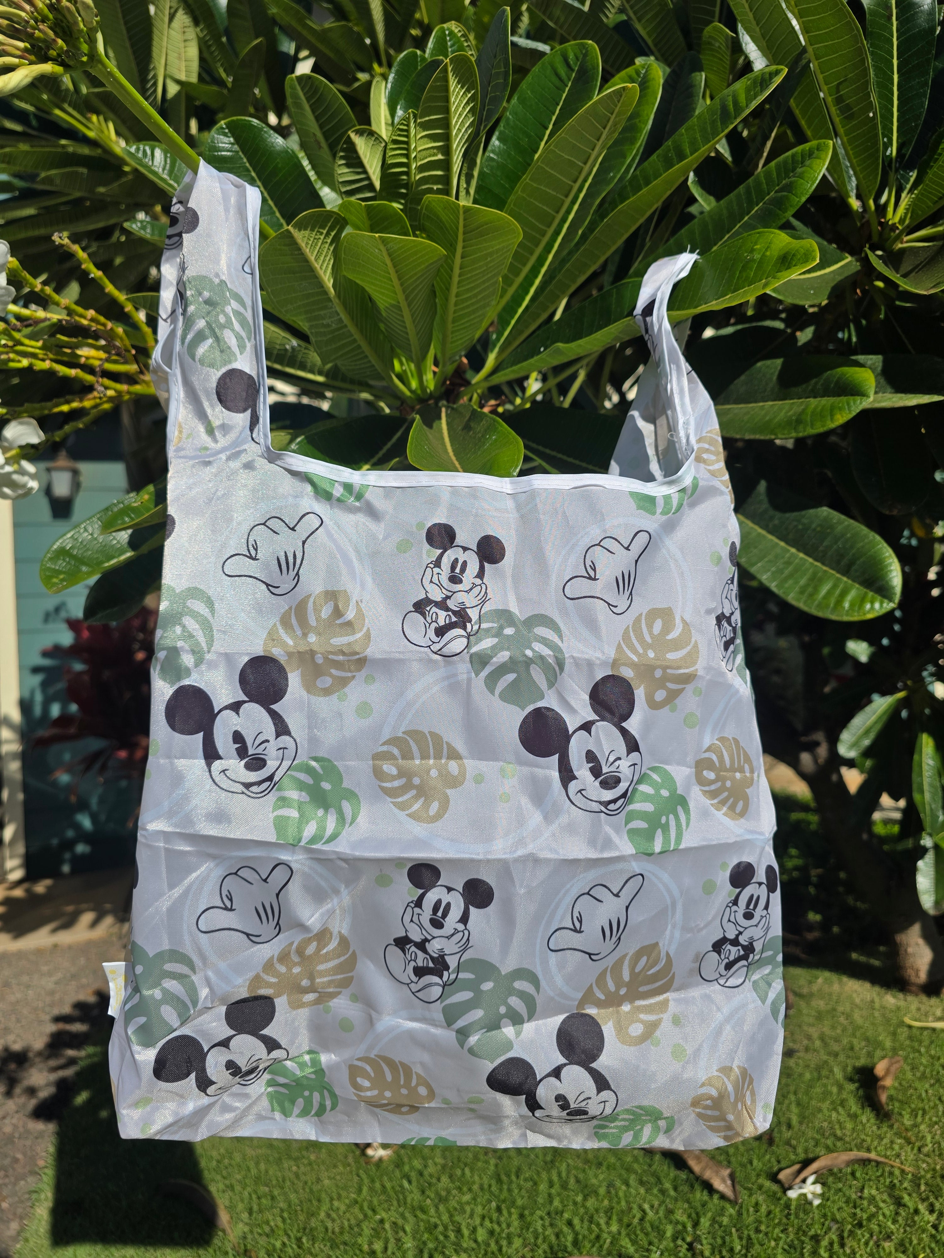 Reusable bag