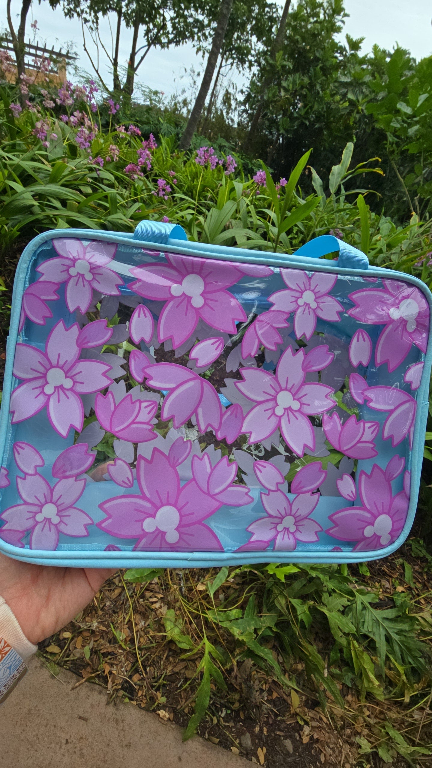 Clear Bag