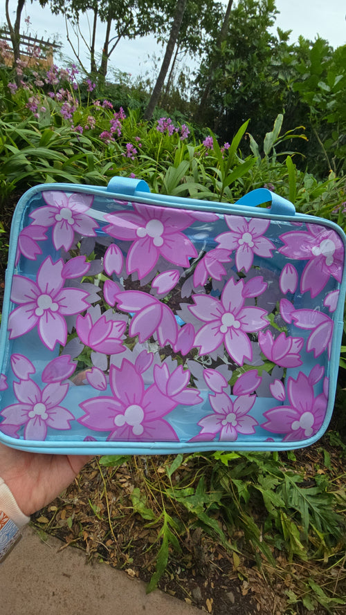 Clear Bag