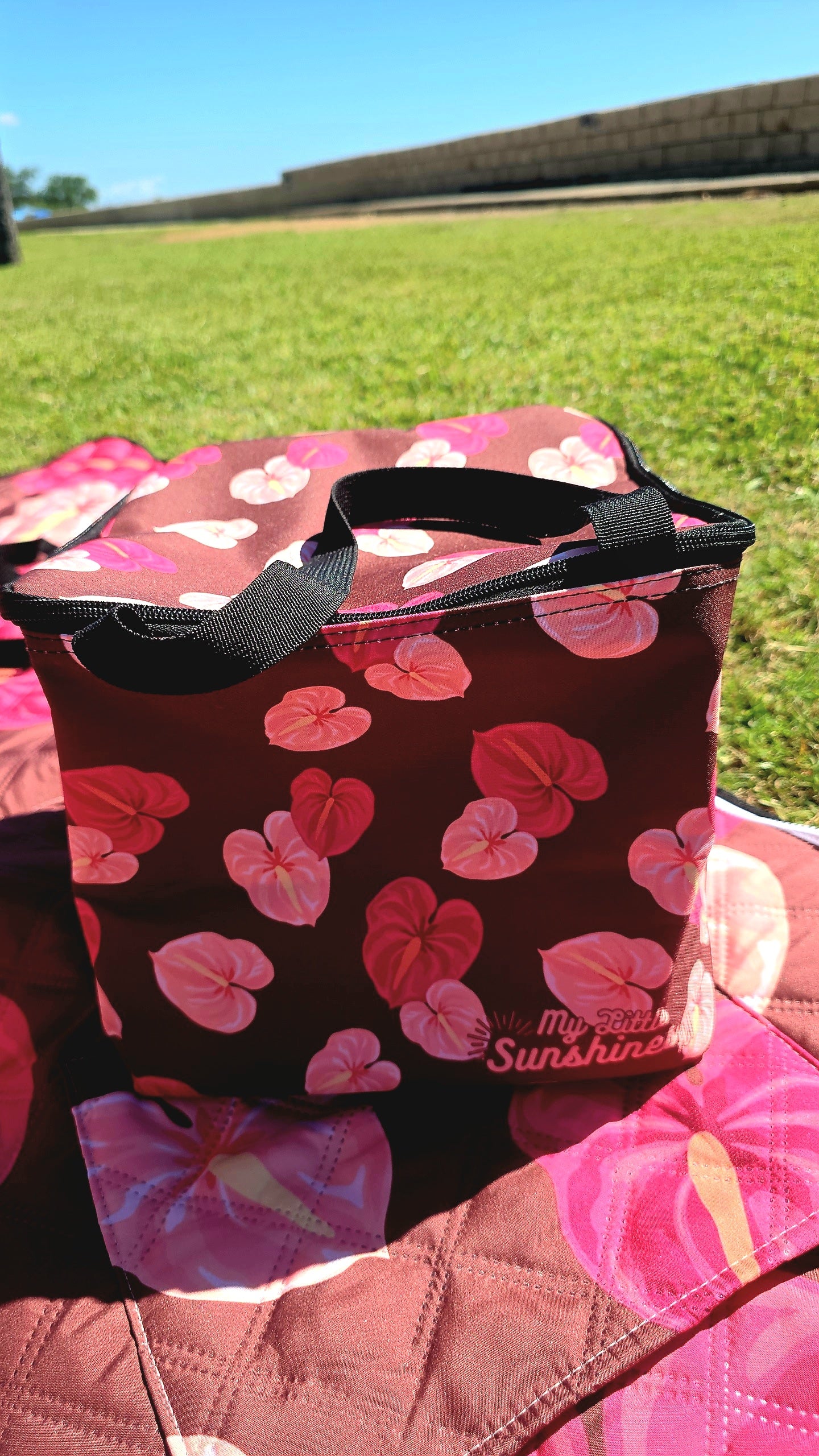 Plate Lunch Bag